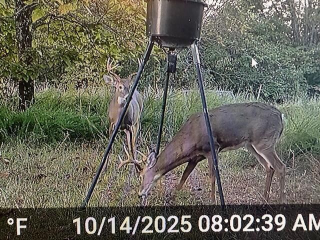 21 James Street, Williamstown, KY 41097