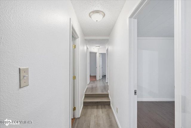 204 Patterson Street, Anchorage, AK 99504