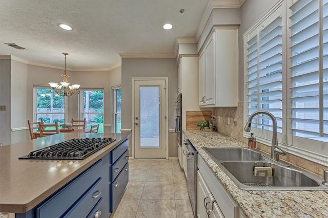 14 Feather Branch Court, The Woodlands, TX 77381