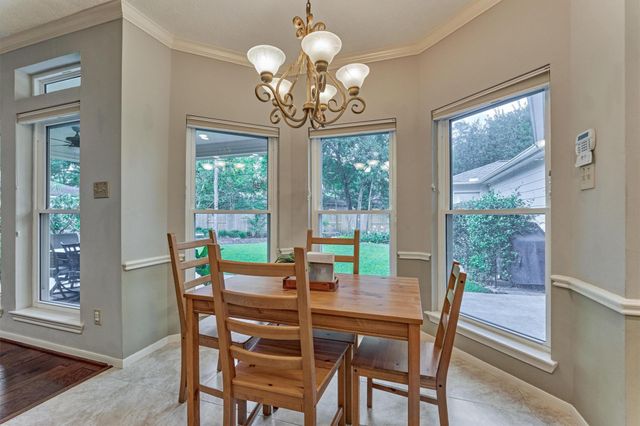 14 Feather Branch Court, The Woodlands, TX 77381