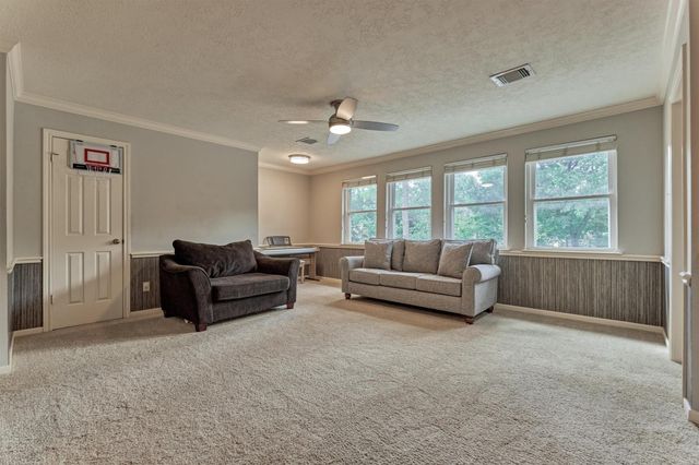 14 Feather Branch Court, The Woodlands, TX 77381