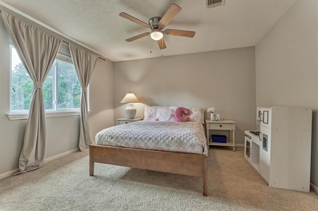 14 Feather Branch Court, The Woodlands, TX 77381