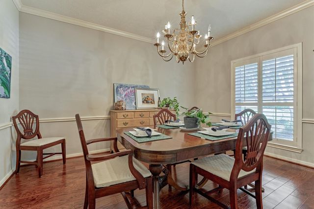 14 Feather Branch Court, The Woodlands, TX 77381