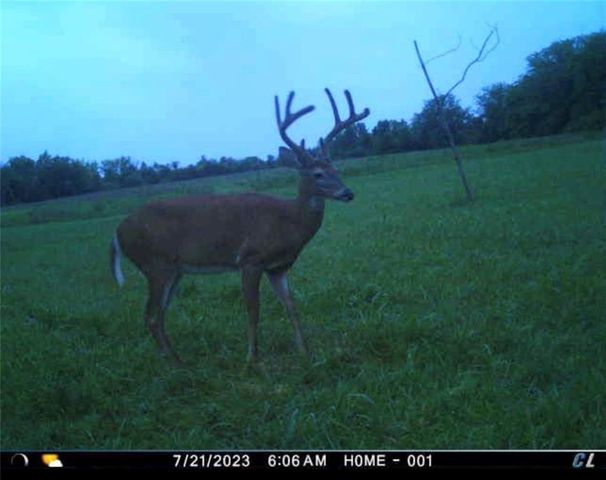 26112 S State Route D Highway, Cleveland, MO 64734