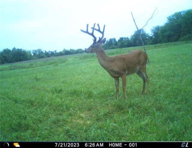 26112 S State Route D Highway, Cleveland, MO 64734