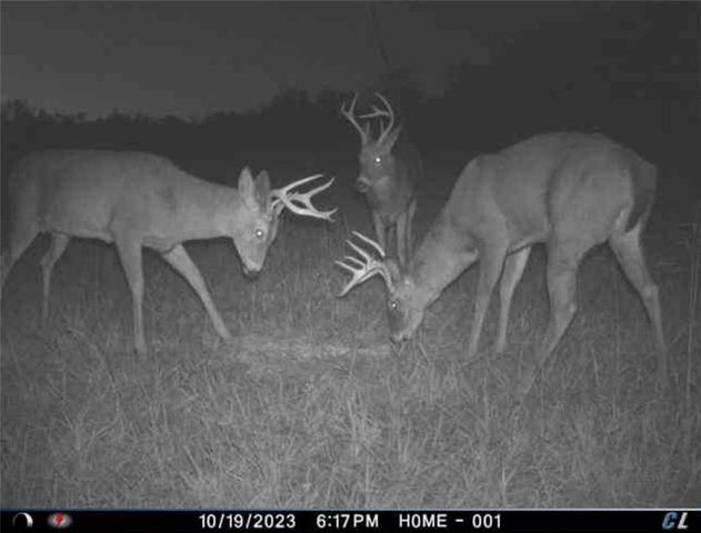 26112 S State Route D Highway, Cleveland, MO 64734