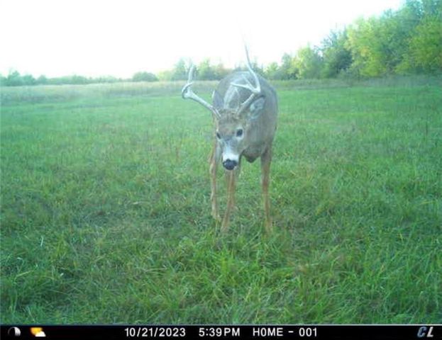 26112 S State Route D Highway, Cleveland, MO 64734