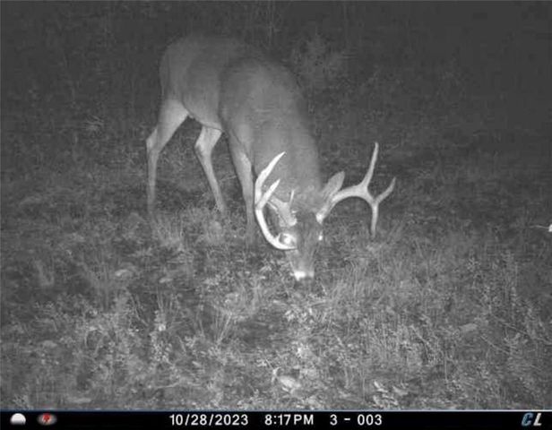 26112 S State Route D Highway, Cleveland, MO 64734