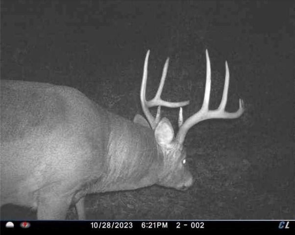 26112 S State Route D Highway, Cleveland, MO 64734