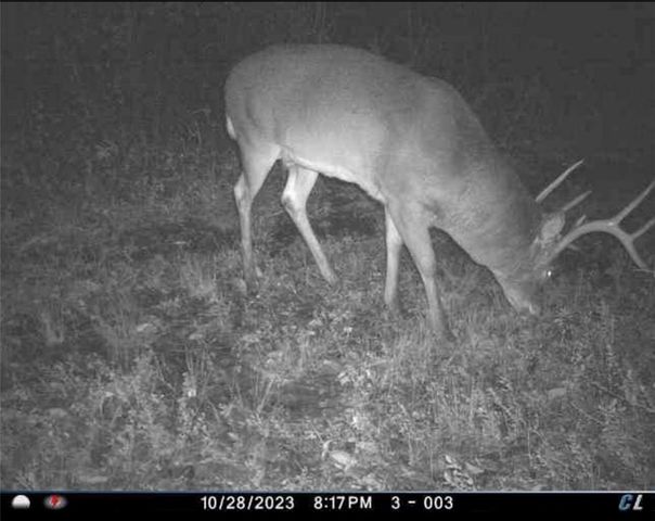 26112 S State Route D Highway, Cleveland, MO 64734