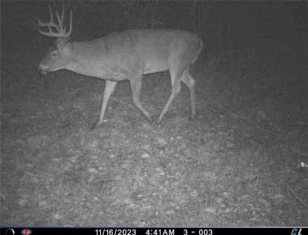 26112 S State Route D Highway, Cleveland, MO 64734