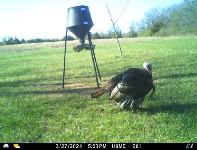 26112 S State Route D Highway, Cleveland, MO 64734