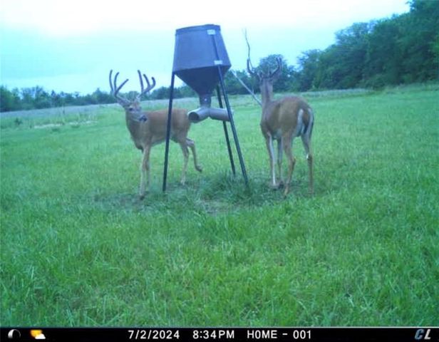 26112 S State Route D Highway, Cleveland, MO 64734