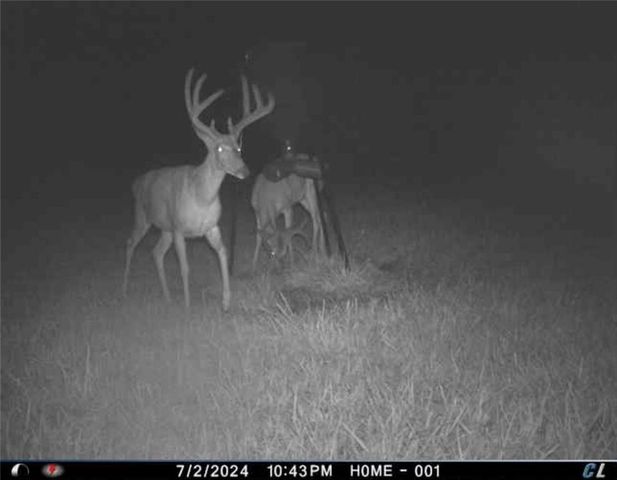 26112 S State Route D Highway, Cleveland, MO 64734