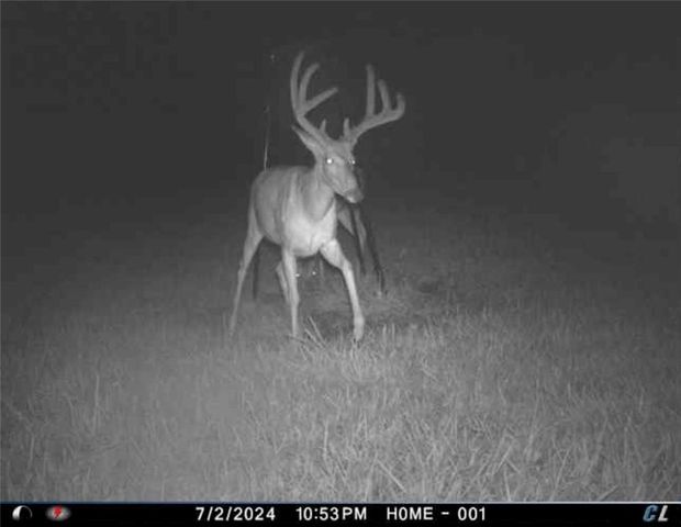 26112 S State Route D Highway, Cleveland, MO 64734