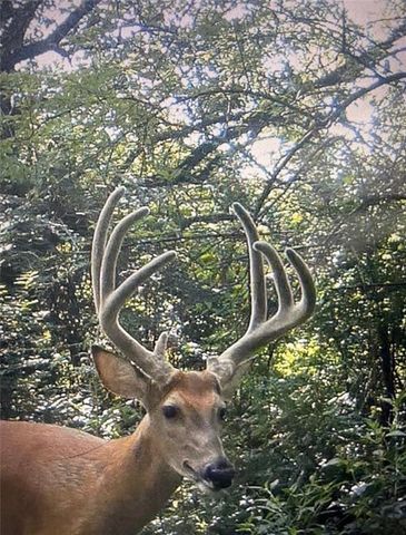 26112 S State Route D Highway, Cleveland, MO 64734