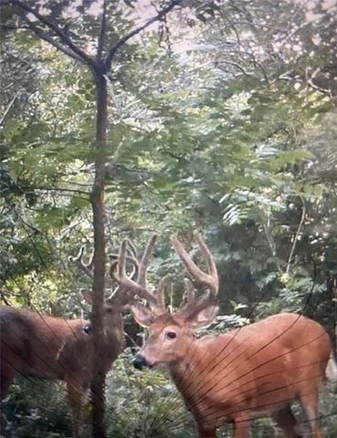 26112 S State Route D Highway, Cleveland, MO 64734