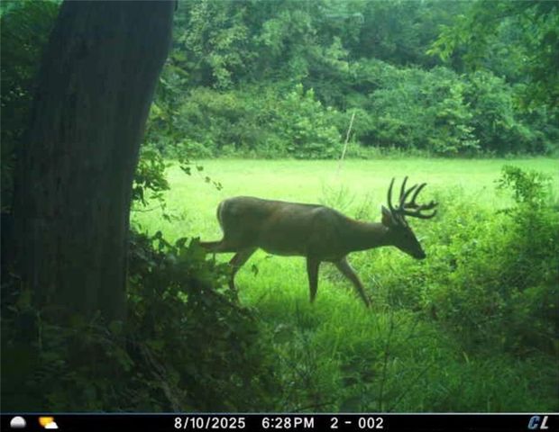 26112 S State Route D Highway, Cleveland, MO 64734