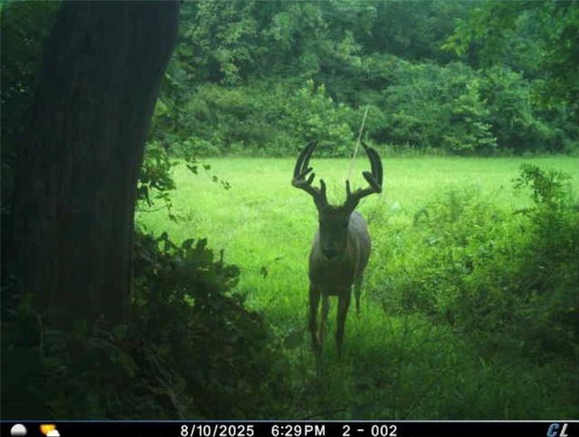 26112 S State Route D Highway, Cleveland, MO 64734