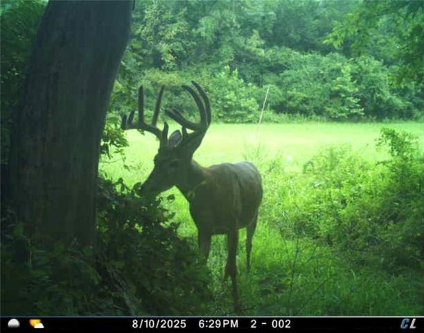 26112 S State Route D Highway, Cleveland, MO 64734