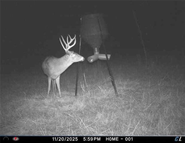 26112 S State Route D Highway, Cleveland, MO 64734