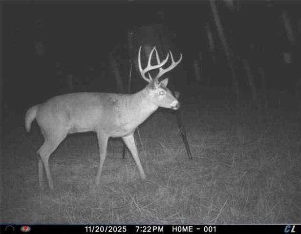 26112 S State Route D Highway, Cleveland, MO 64734