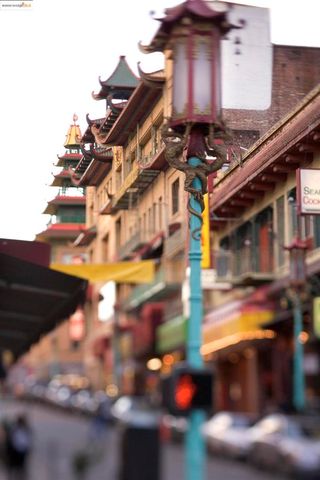 47 Auburn, San Francisco, CA 94133