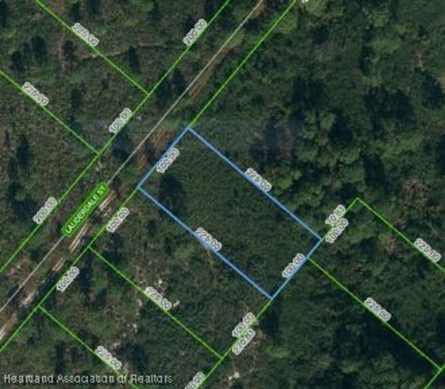 613 Lauderdale Street, Lake Placid, FL 33852