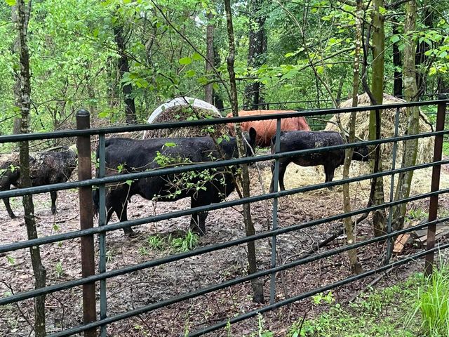 178 Garner Drive, Ozark, MO 65721