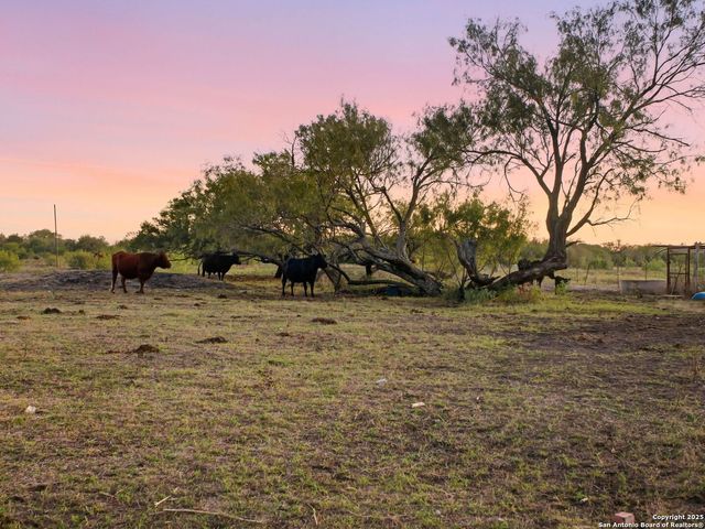 3311 Freudenburg, Converse, TX 78109