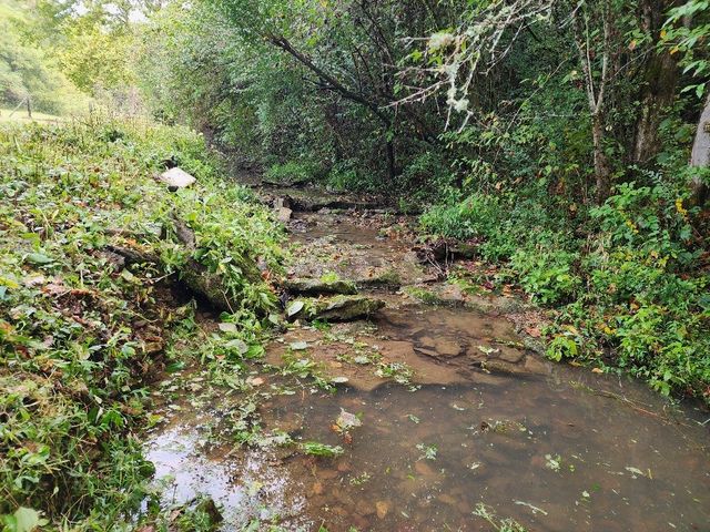 644 Webster Branch Ln, Whitleyville, TN 38588