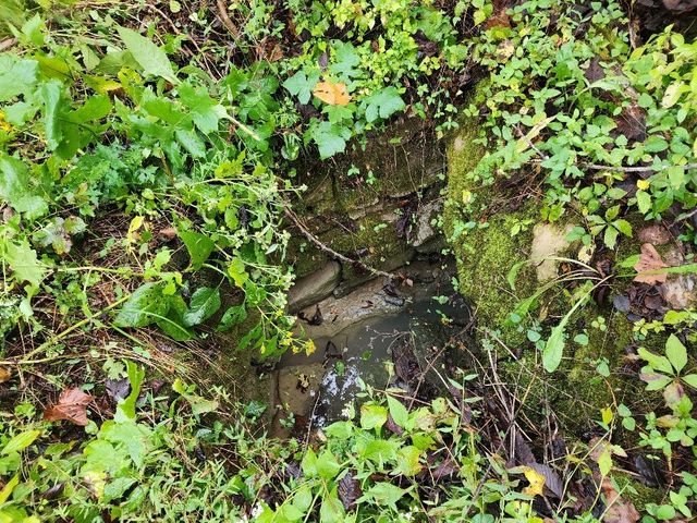 644 Webster Branch Ln, Whitleyville, TN 38588