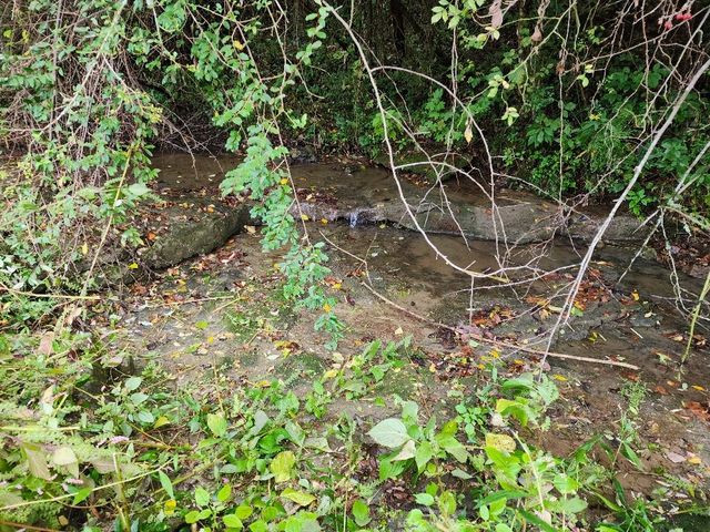 644 Webster Branch Ln, Whitleyville, TN 38588