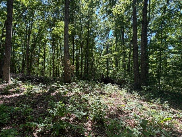 1 Bbq Rd, Dickson, TN 37055