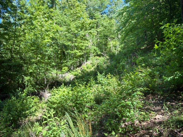 1 Bbq Rd, Dickson, TN 37055