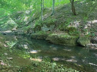 1 Bbq Rd, Dickson, TN 37055