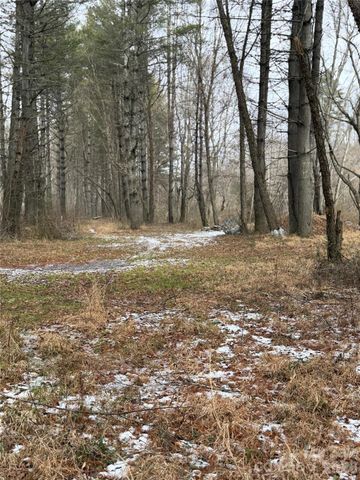 000 Valley Green Drive, Penrose, NC 28768