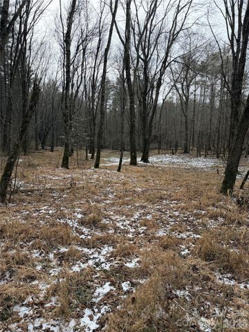 000 Valley Green Drive, Penrose, NC 28768