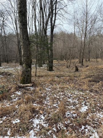 000 Valley Green Drive, Penrose, NC 28768