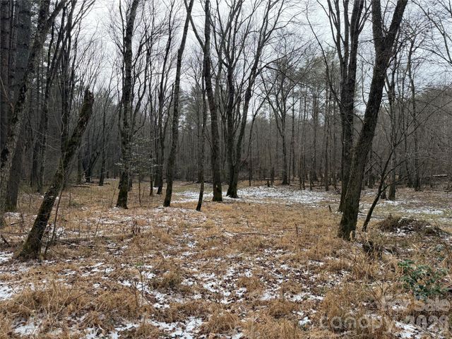000 Valley Green Drive, Penrose, NC 28768