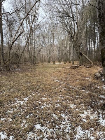 000 Valley Green Drive, Penrose, NC 28768