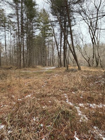 000 Valley Green Drive, Penrose, NC 28768