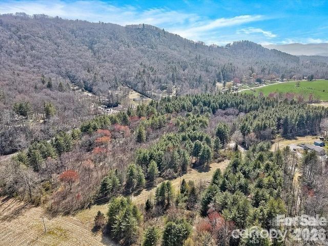000 Valley Green Drive, Penrose, NC 28768