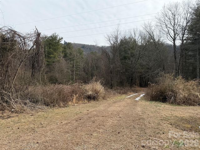 000 Valley Green Drive, Penrose, NC 28768
