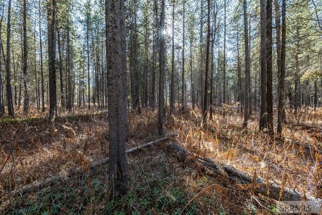 1663 Shadow Run, Ashton, ID 83420