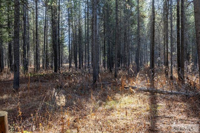 1663 Shadow Run, Ashton, ID 83420