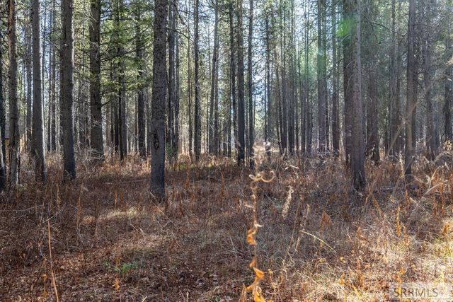 1663 Shadow Run, Ashton, ID 83420