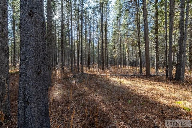 1663 Shadow Run, Ashton, ID 83420