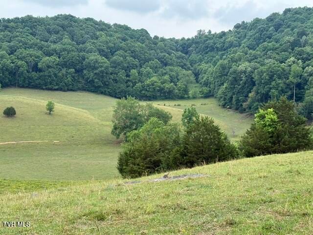 Tbd South Summer Sound Road, Piney Flats, TN 37686