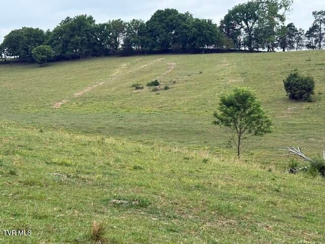 Tbd South Summer Sound Road, Piney Flats, TN 37686